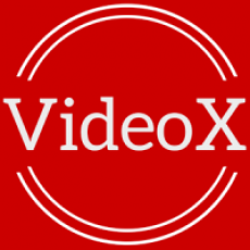 VideoX