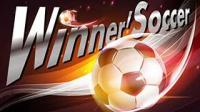 Winner Soccer Evo Elite for PC