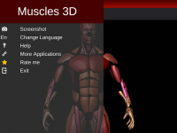 Muscular System 3D (anatomy) for PC