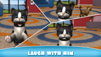 Daily Kitten : virtual cat pet APK