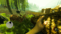 forest survival craft for PC