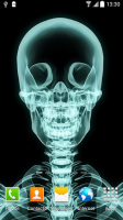 Skulls Live Wallpaper for PC