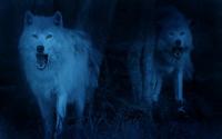 Wolves Night live wallpaper for PC