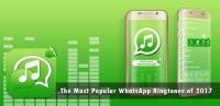 Message Ringtone for Whatsapp™ for PC