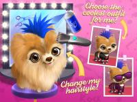 Rock Star Animal Hair Salon for PC