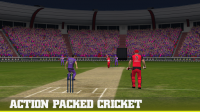 Big Bash 2016 for PC